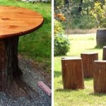 Turning A Tree Stump Into A Table